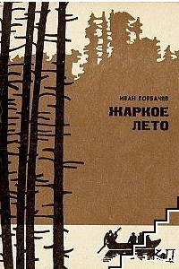 Книга Жаркое лето