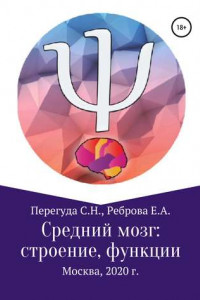 Книга Средний мозг: строение и функции