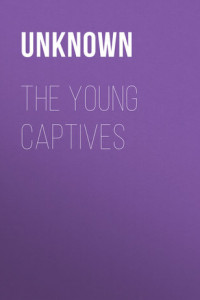 Книга The Young Captives