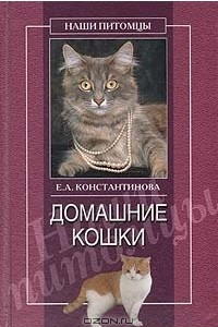 Книга Домашние кошки