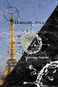 Книга Плесень духа (spiritum fingunt)