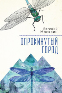 Книга Опрокинутый город