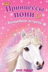 Книга Волшебная встреча