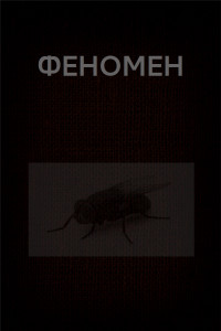 Книга ФЕНОМЕН