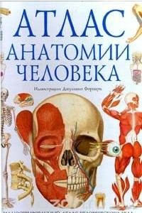 Книга Атлас анатомии человека