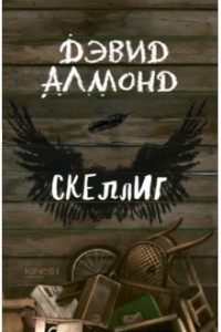 Книга Скеллиг