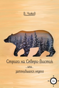 Книга Строго на Северо-Восток