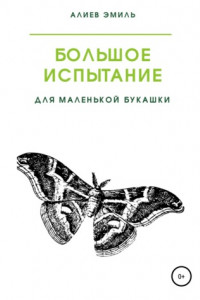 Книга Большое испытание для маленькой букашки