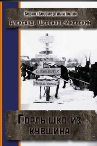 Книга Горлышко из кувшина. Серия «Бессмертный полк»