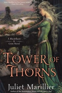 Книга Tower of Thorns