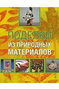 Книга Поделки из природных материалов