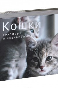 Книга Кошки. Красивые и независимые