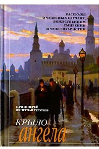 Книга Крыло ангела