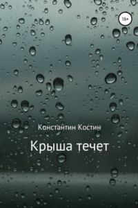 Книга Крыша течет