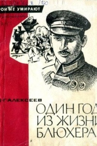 Книга Один год из жизни Блюхера