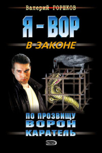 Книга По прозвищу Ворон. Каратель