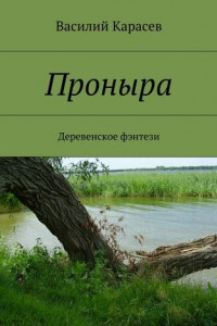 Книга Проныра. Деревенское фэнтези