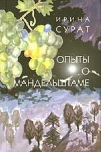 Книга Опыты о Мандельштаме