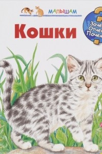 Книга Кошки