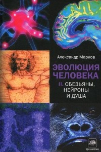 Книга Эволюция человека. Обезьяны, нейроны и душа