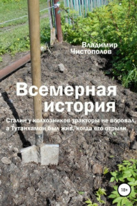 Книга Всемерная история