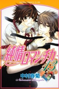 Книга Junjou Romantica. Vol.13