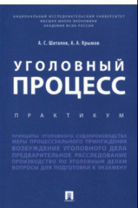 Книга Уголовный процесс. Практикум