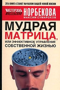 Книга Мудрая матрица, или Эффективное управление собственной жизнью