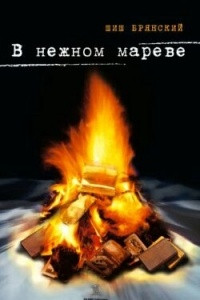 Книга В нежном мареве: Стихотворения