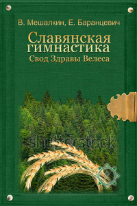 Книга Славянская гимнастика. Свод Здравы Велеса