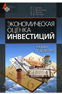 Книга Экономическая оценка инвестиций. Теория и практика