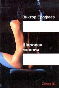 Книга Шаровая молния