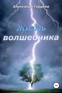 Книга Жизнь волшебника