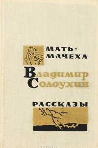 Книга Мать-мачеха