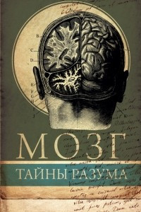 Книга Мозг. Тайны разума