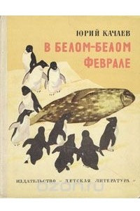 Книга В белом-белом феврале