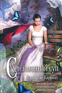 Книга Стеклянный суп