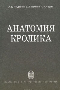 Книга Анатомия кролика