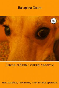 Книга Лысая собака с синим хвостом, или хозяйка, ты спишь, а мы тут всё уронили!