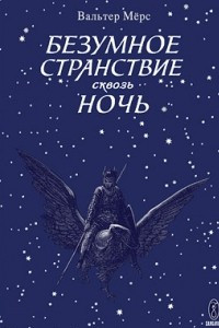 Книга Безумное странствие сквозь ночь