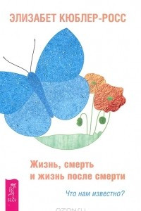 Книга Жизнь, смерть и жизнь после смерти. Что нам известно?