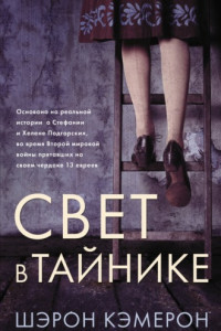 Книга Свет в тайнике