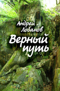 Книга Верный путь