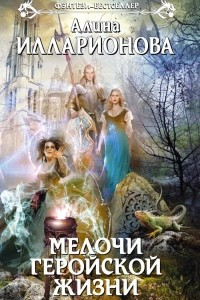 Книга Мелочи геройской жизни