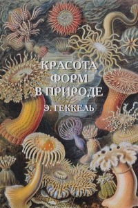 Книга Красота форм в природе