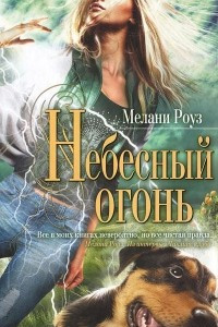 Книга Небесный огонь