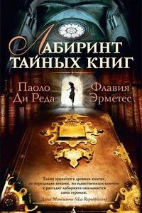 Книга Лабиринт тайных книг