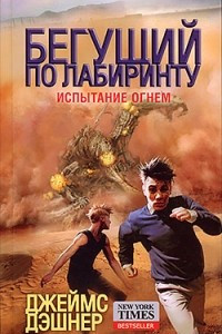 Книга Испытание огнем