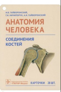 Книга Анатомия человека. Соединения костей. Карточки. Наглядное учебное пособие