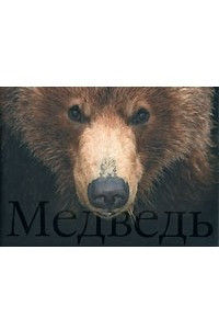 Книга Медведь / Bear